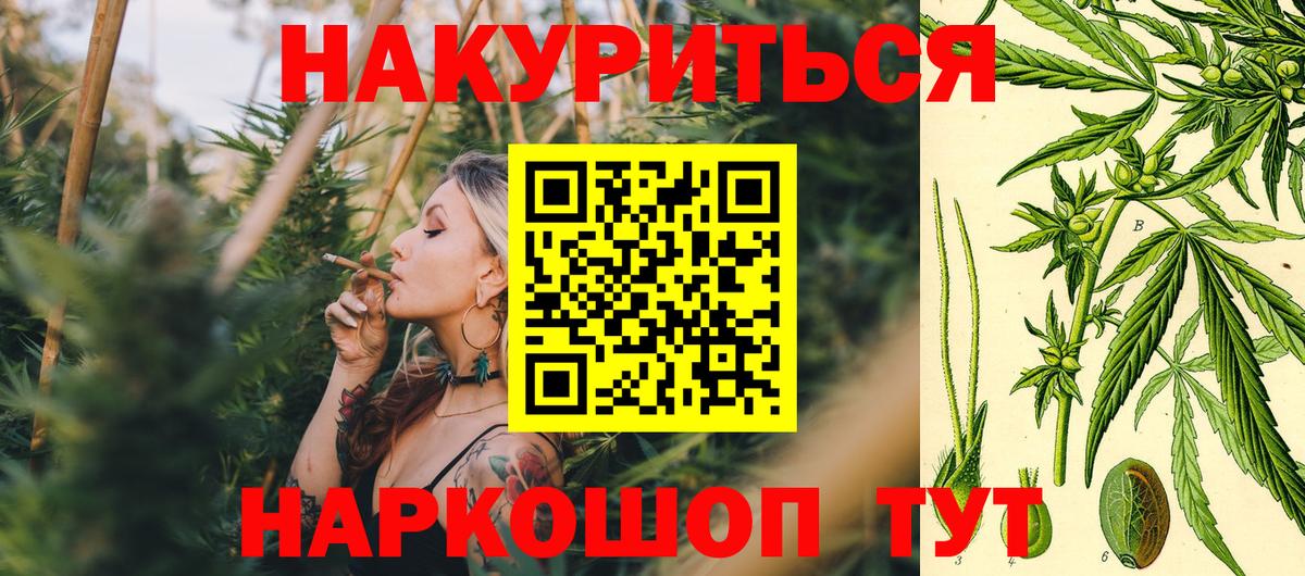 МАРИХУАНА план  Шишки марихуана планчик  Бошки марихуана тримм  Нефтеюганск  Вход с VPN 
